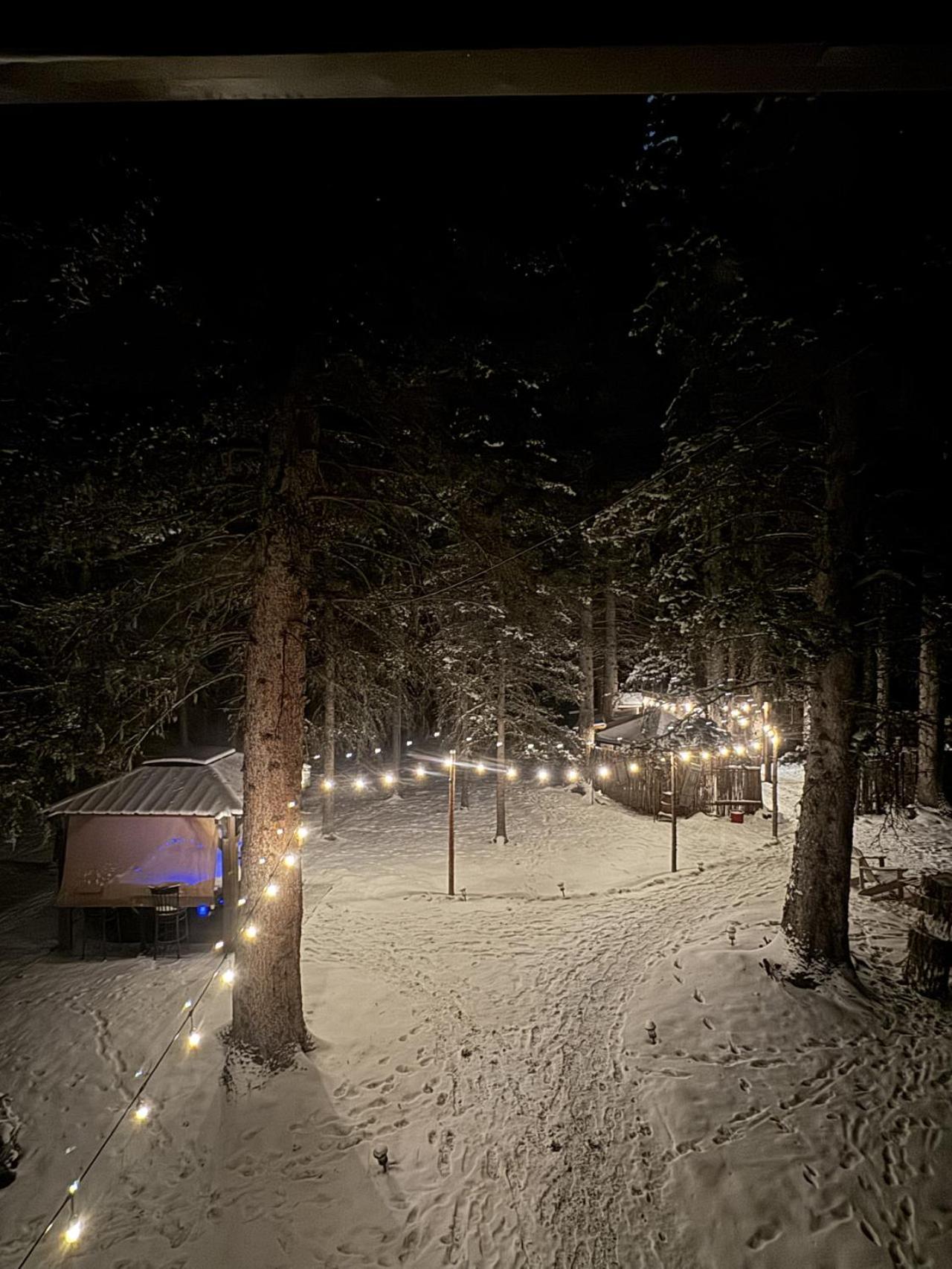 Rustic Cozy Cabin With Hot Tub Bragg Creek 外观 照片